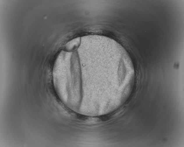 X0000112090609200909151138