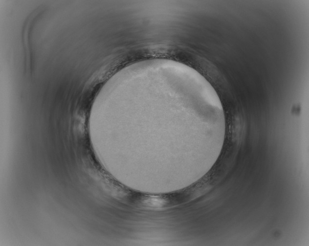 X0000112090610200909151138