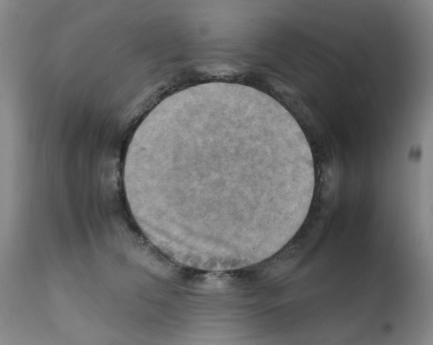 X0000112090612200909151138