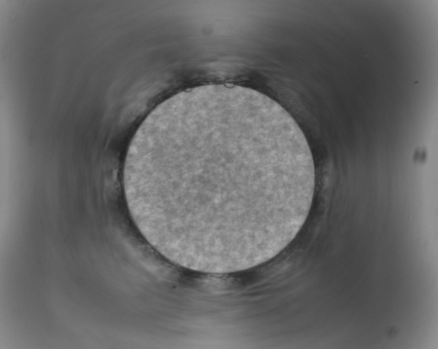 X0000112090615200909151138