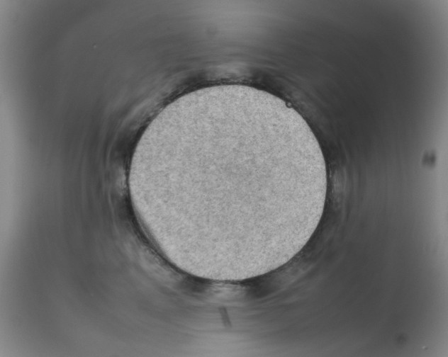 X0000112090617200909151138