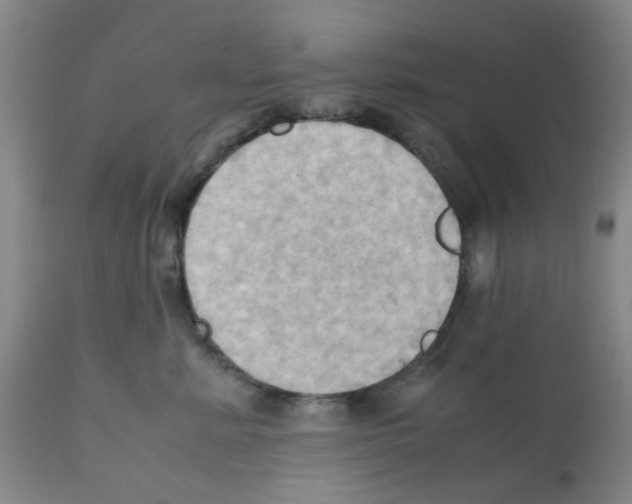 X0000112090619200909151138