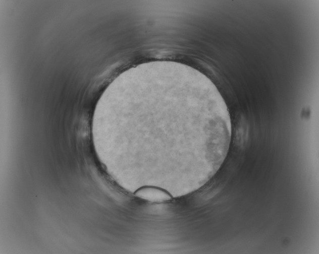 X0000112090620200909151138