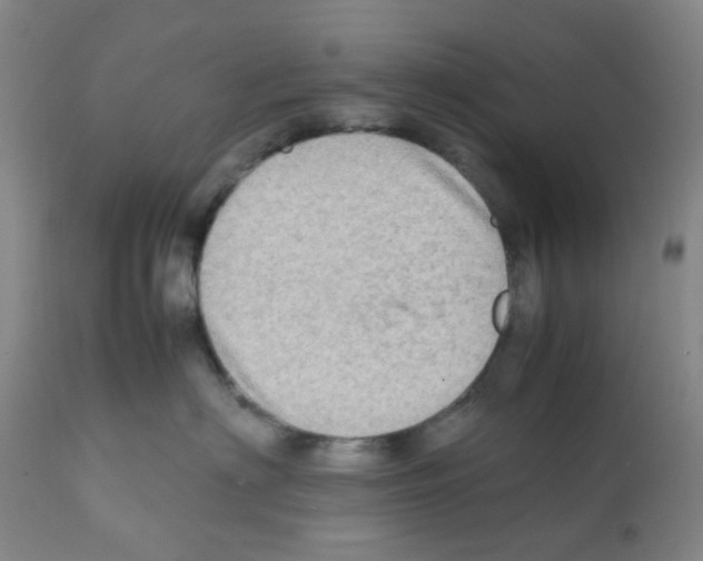X0000112090622200909151138