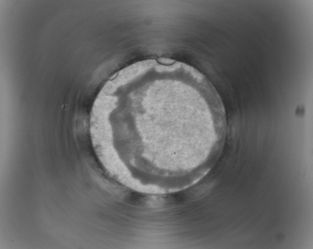 X0000112090623200909151138