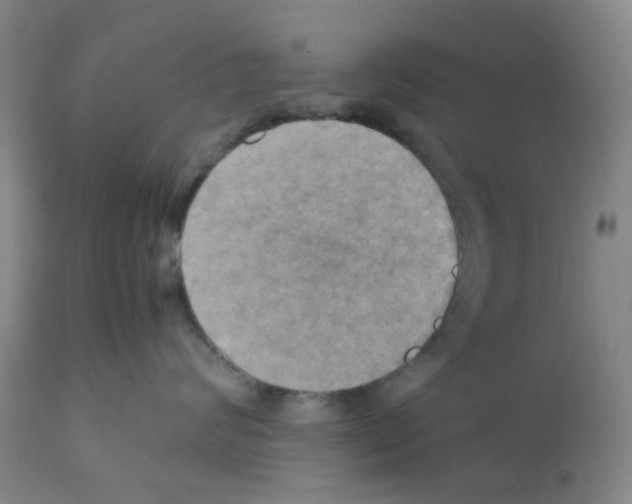X0000112090624200909151138