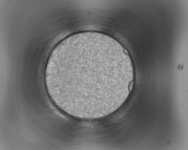 X0000112090625200909151137