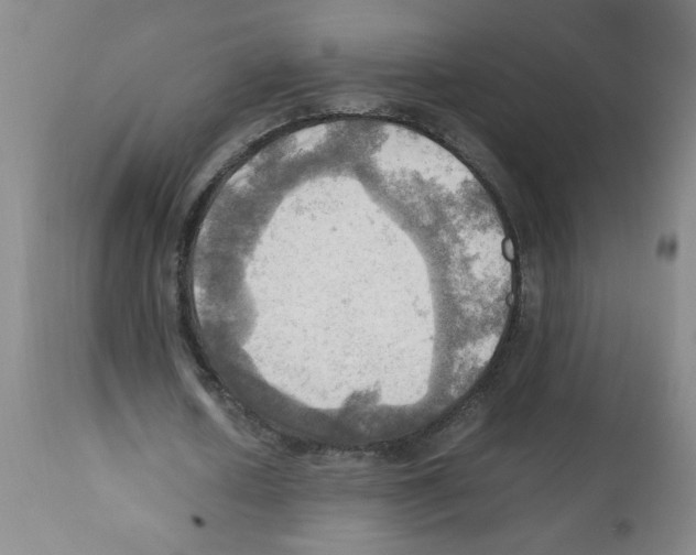 X0000112090626200909151137