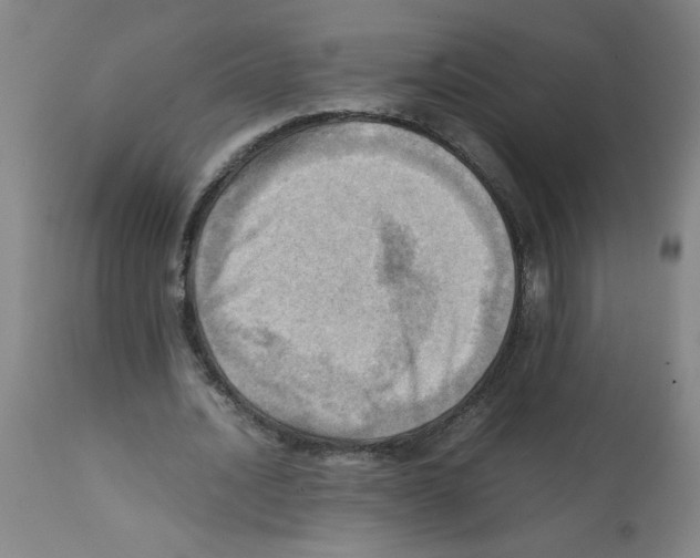 X0000112090628200909151137