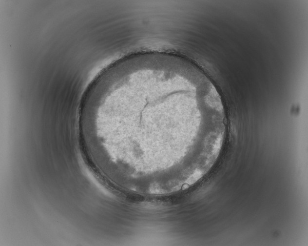 X0000112090630200909151137