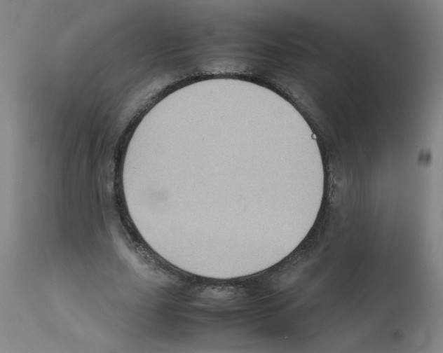 X0000112090631200909151137