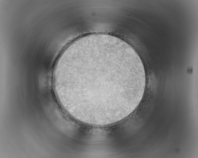 X0000112090632200909151137