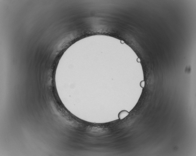 X0000112090635200909151137