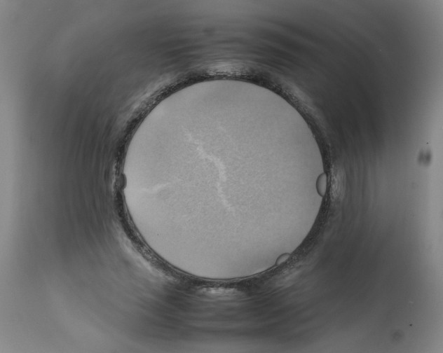 X0000112090637200909151137
