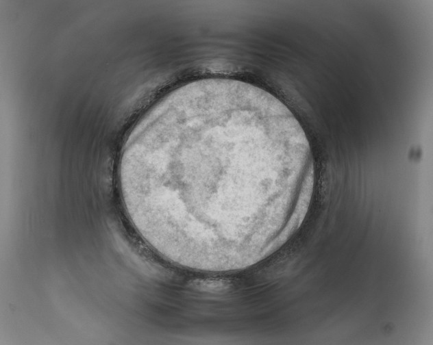 X0000112090639200909151137