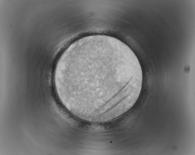 X0000112090640200909151137