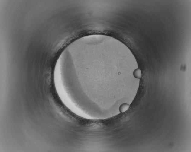X0000112090642200909151137