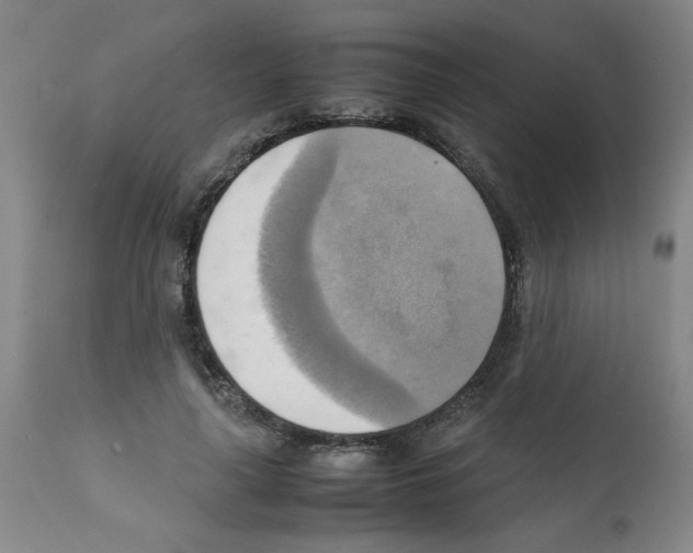 X0000112090643200909151137