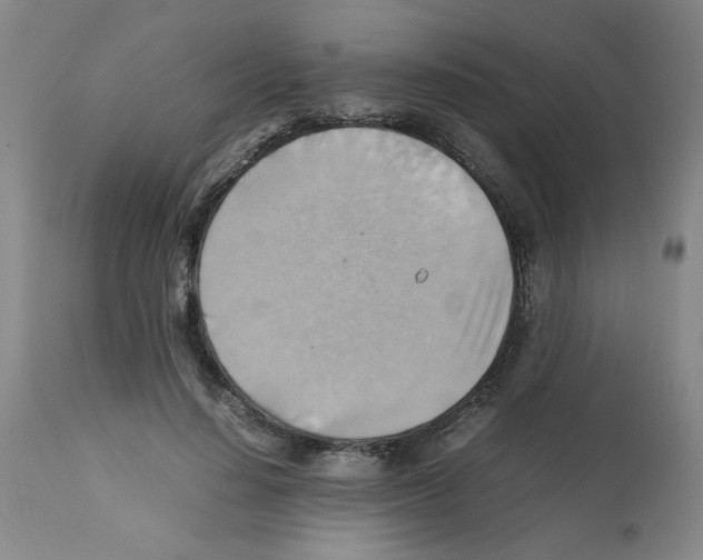 X0000112090644200909151137