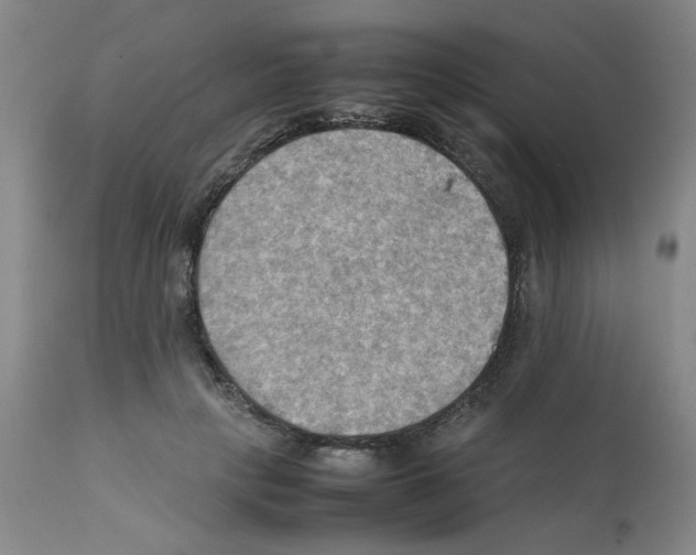 X0000112090649200909151137