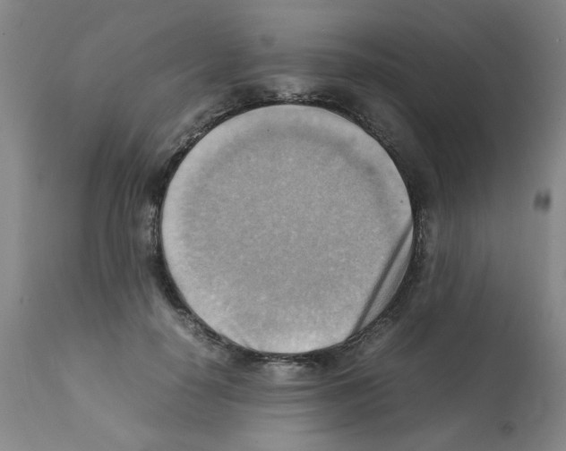 X0000112090650200909151137