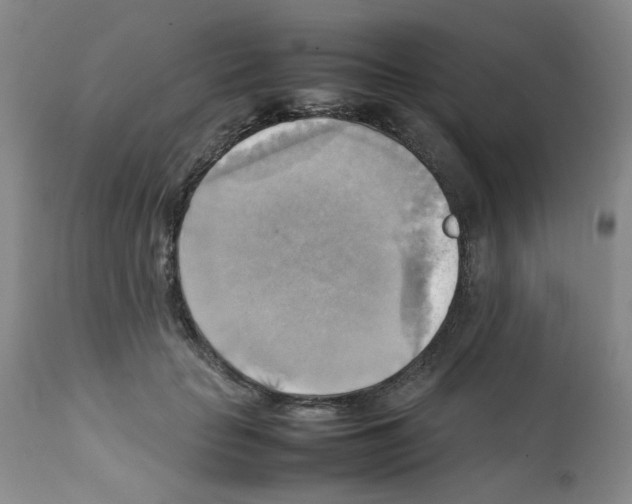 X0000112090653200909151137