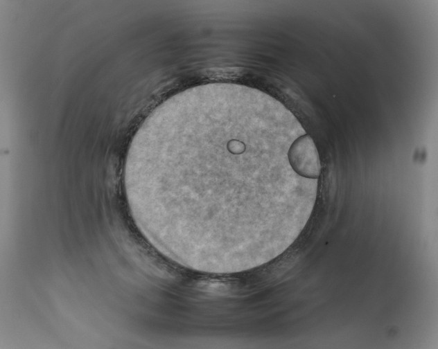 X0000112090655200909151137