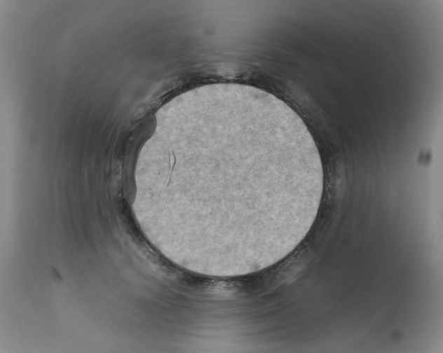 X0000112090656200909151137