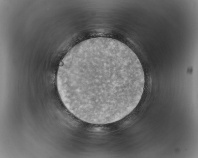 X0000112090657200909151137