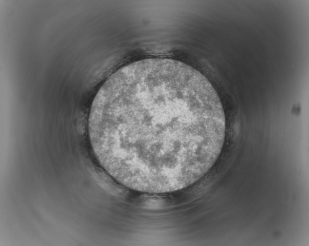 X0000112090658200909151138