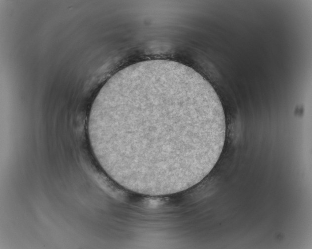 X0000112090662200909151138