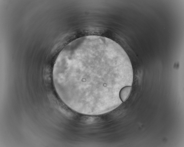 X0000112090663200909151138