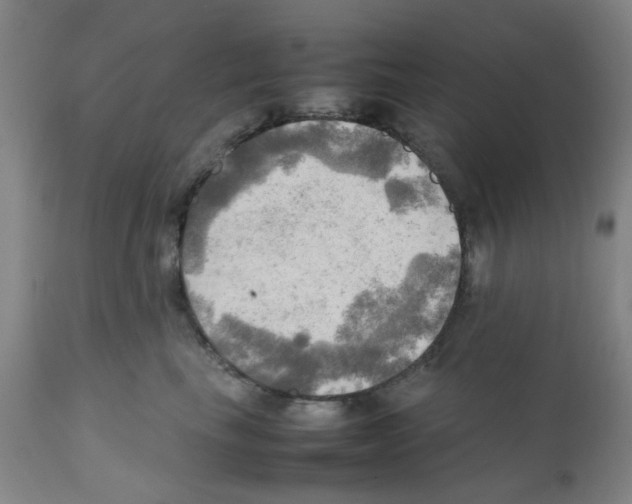 X0000112090665200909151138