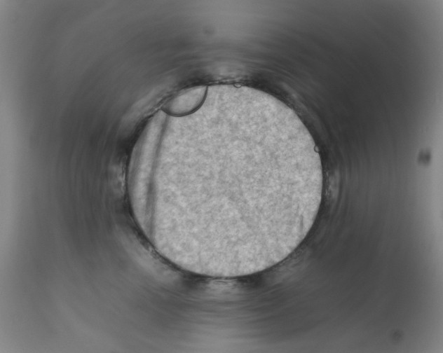 X0000112090666200909151138