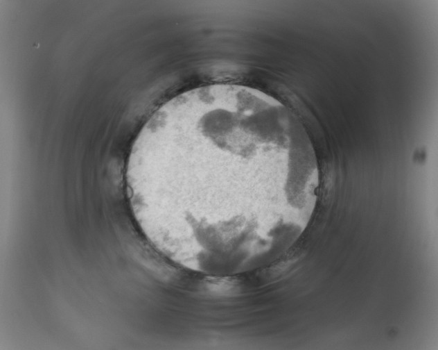 X0000112090667200909151138