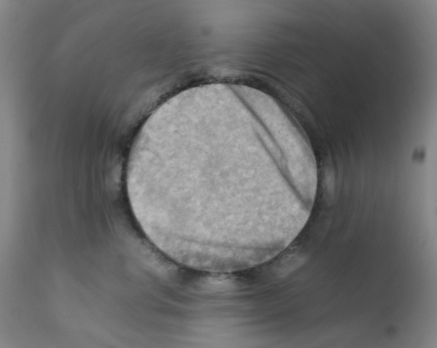 X0000112090668200909151138