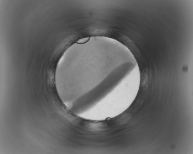X0000112090669200909151138