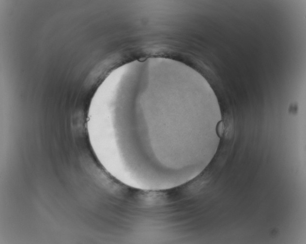 X0000112090670200909151138