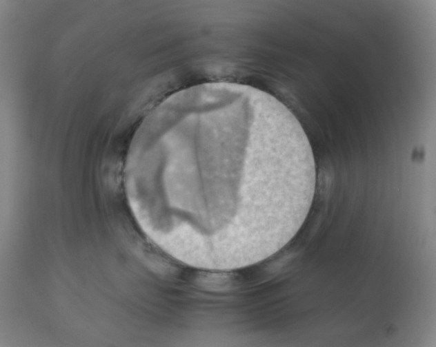 X0000112090671200909151138