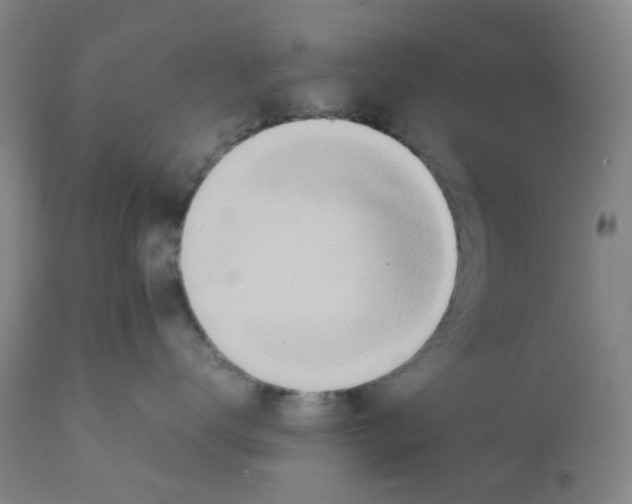 X0000112090672200909151138