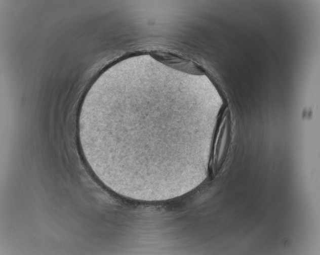 X0000112090673200909151137