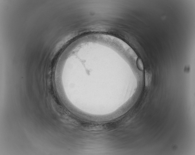 X0000112090675200909151137