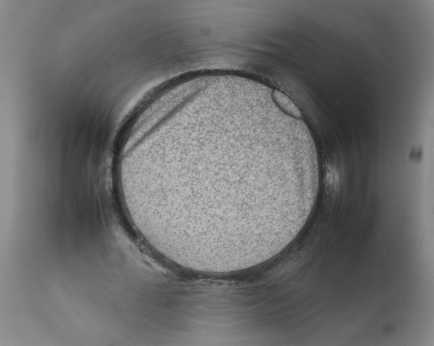 X0000112090676200909151137