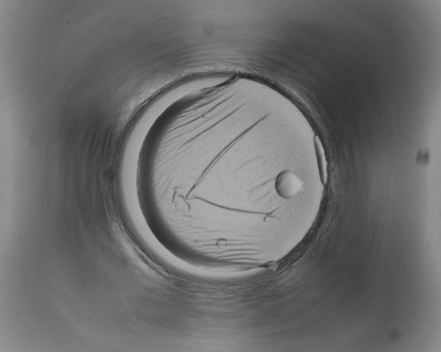 X0000112090677200909151137