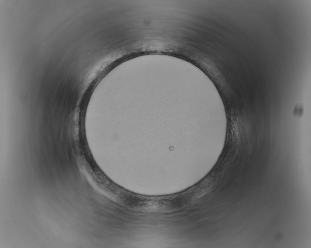 X0000112090678200909151137