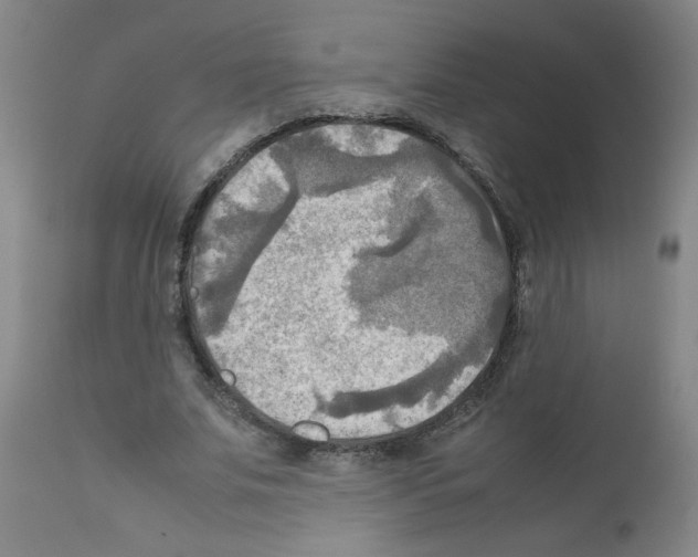 X0000112090679200909151137