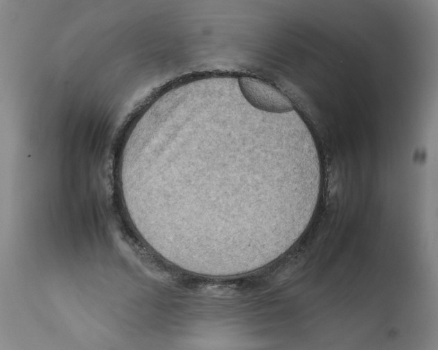 X0000112090680200909151137