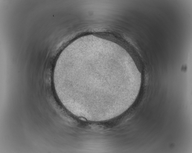 X0000112090681200909151137