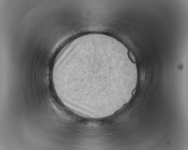 X0000112090684200909151137
