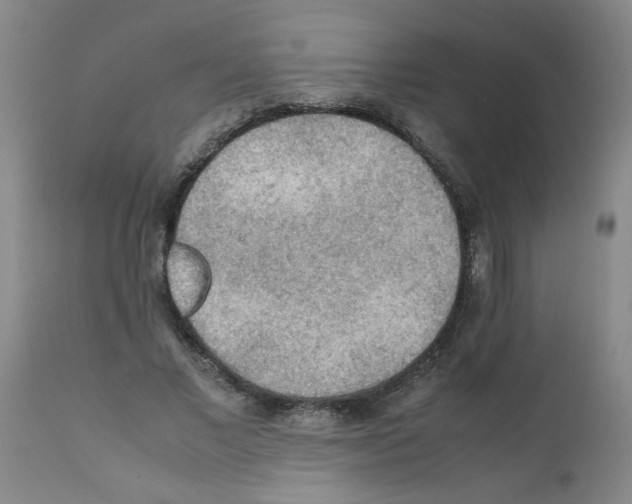 X0000112090685200909151137